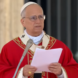 Papina homilija na misi na Cvjetnicu